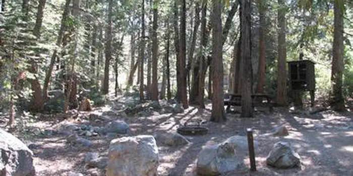 Camper submitted image from Stumpy Meadows