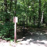 Review photo of Nichols Lake South Campground by Art S., August 3, 2019