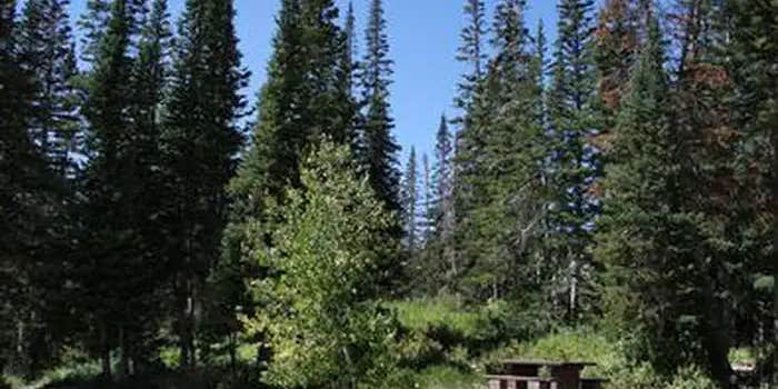 Camper submitted image from Ferron Reservoir Campground — Manti La Sal National Forest