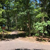 Review photo of Nichols Lake South Campground by Art S., August 3, 2019