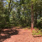 Review photo of Nichols Lake South Campground by Art S., August 3, 2019