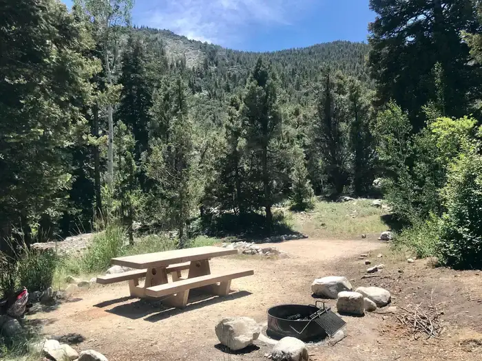 Camping near Sacramento Pass Recreation Area: Upper Lehman Creek Campground — Great Basin National Park, Baker, Nevada