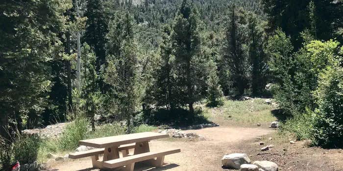 Camper submitted image from Upper Lehman Creek Campground — Great Basin National Park