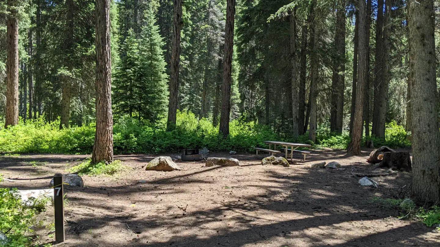 Camper submitted image from Lake Fork - 1