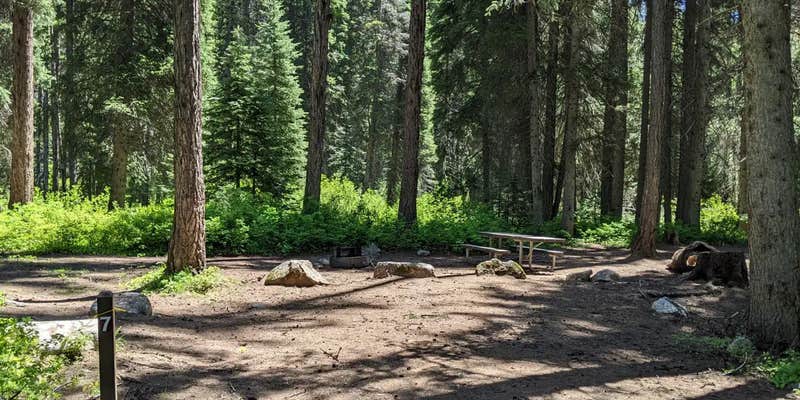 Camper submitted image from Lake Fork