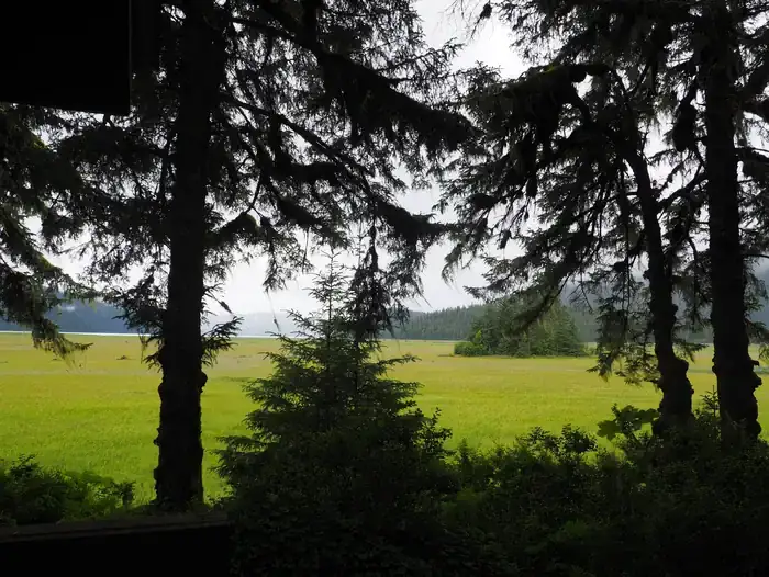 Camper-submitted photo at Gut Island 1 Cabin near Point Baker, AK