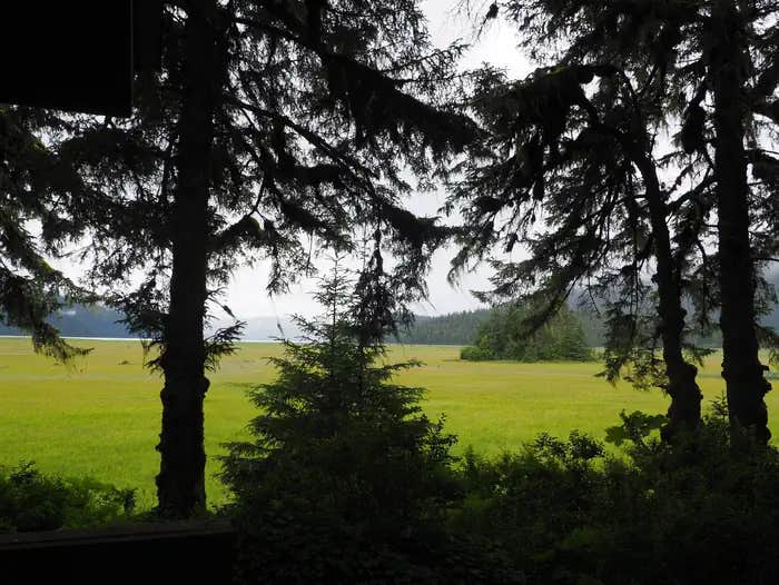 Camper submitted image from Gut Island 1 Cabin - 1