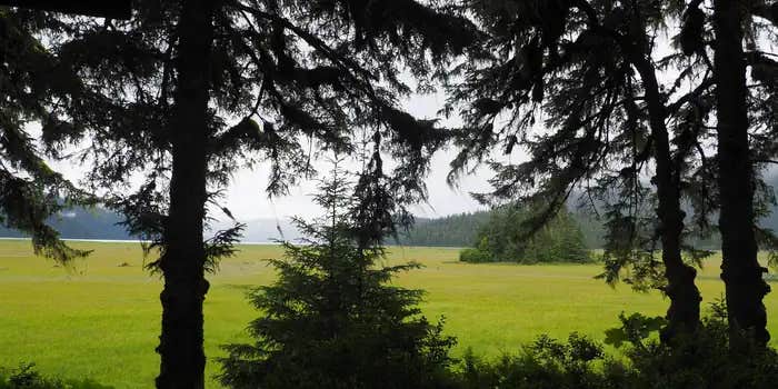 Camper submitted image from Gut Island 1 Cabin