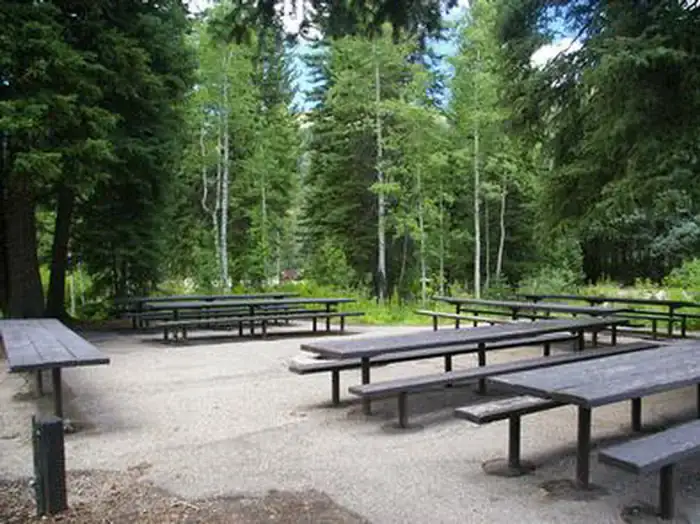 Camper-submitted photo at Spruces - Big Cottonwood near Bingham Canyon, UT