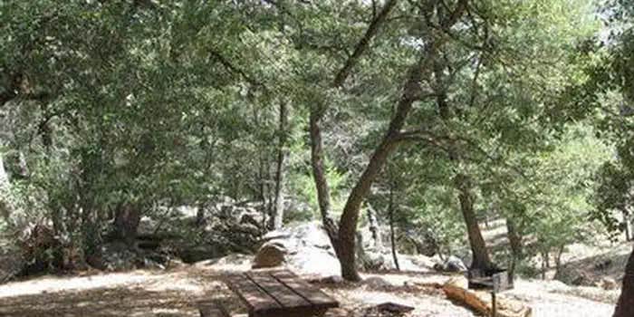 Camper submitted image from Fry Creek Campground