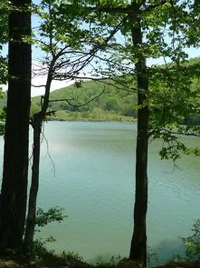 Camper submitted image from Mcclintic Point - 1