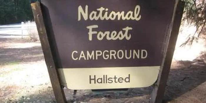 Camper submitted image from Plumas National Forest Hallsted Campground