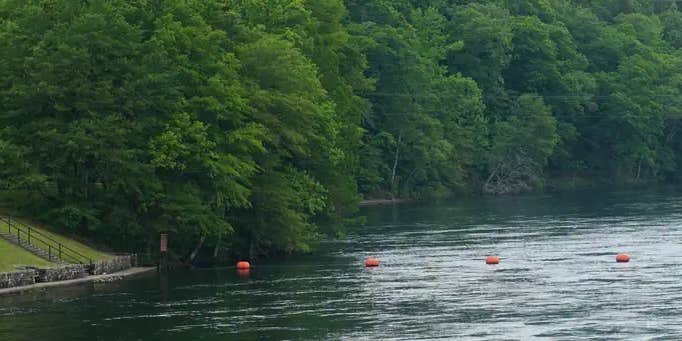 Camper submitted image from Stephens Park Campground