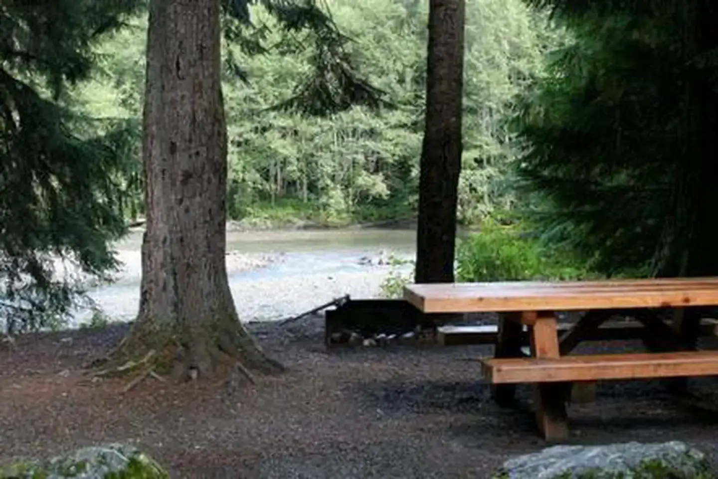 Camping near Mazama Lake on Chain Lakes Trail: Silver Fir Campground, Maple Falls, Washington