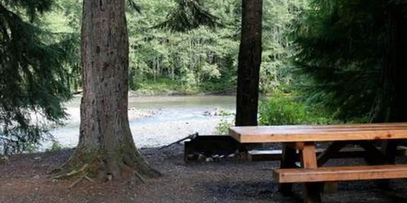 Camper submitted image from Silver Fir Campground