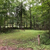Review photo of Pine Lake Campground by Art S., August 3, 2019