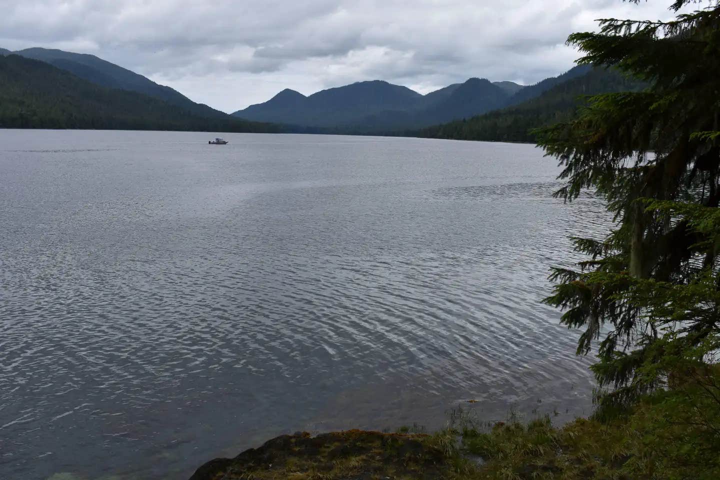 Camper submitted image from Helm Creek Cabin - 1