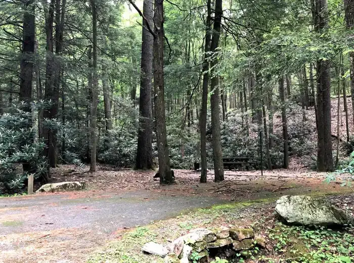 Camper-submitted photo at Hurricane Campground near Atkins, VA