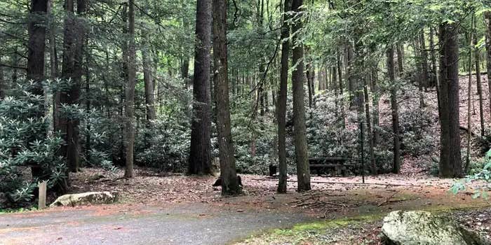 Camper submitted image from Hurricane Campground