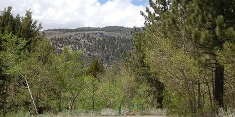 Camper submitted image from June Lake Campground