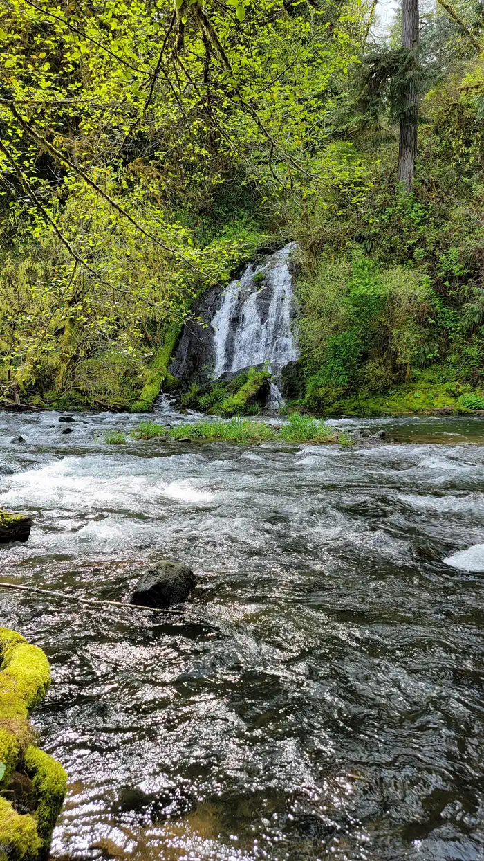 Alder Glen Recreation Site
