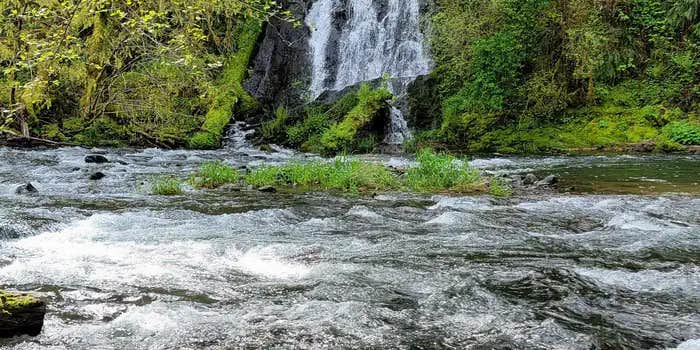 Camper submitted image from Alder Glen Recreation Site