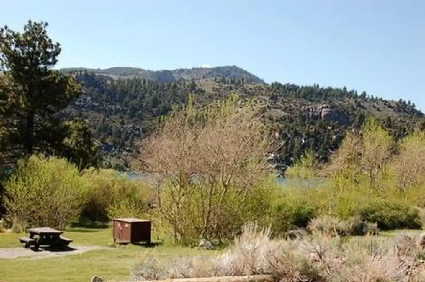 Camper-submitted photo at June Lake Campground near Mammoth Lakes, CA