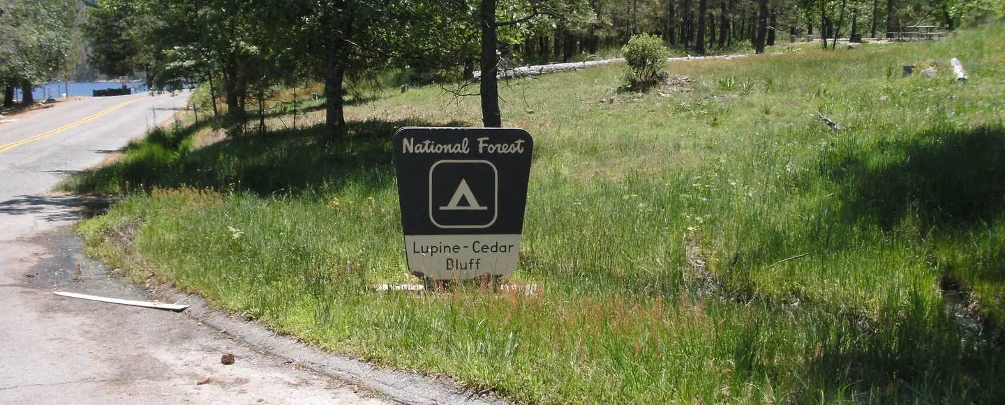 Camper submitted image from Cedar Bluff - 1