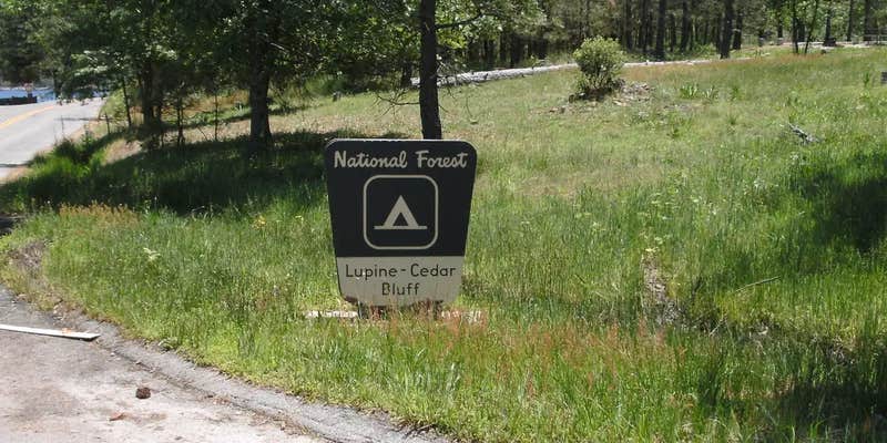 Camper submitted image from Cedar Bluff