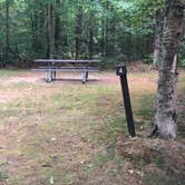 Review photo of Pillsbury State Park Campground by Evan B., August 3, 2019