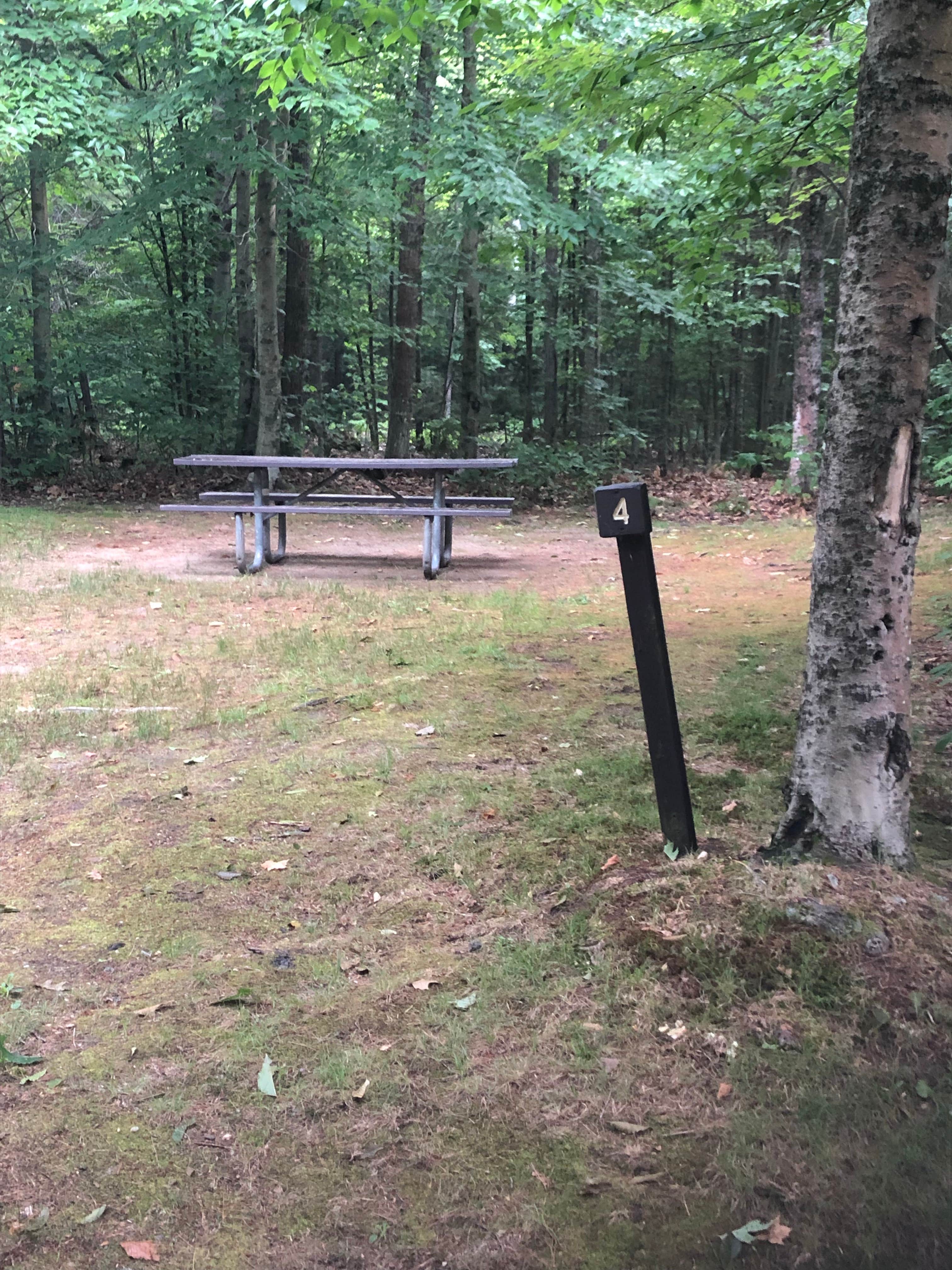 Camper submitted image from Pillsbury State Park Campground - 2