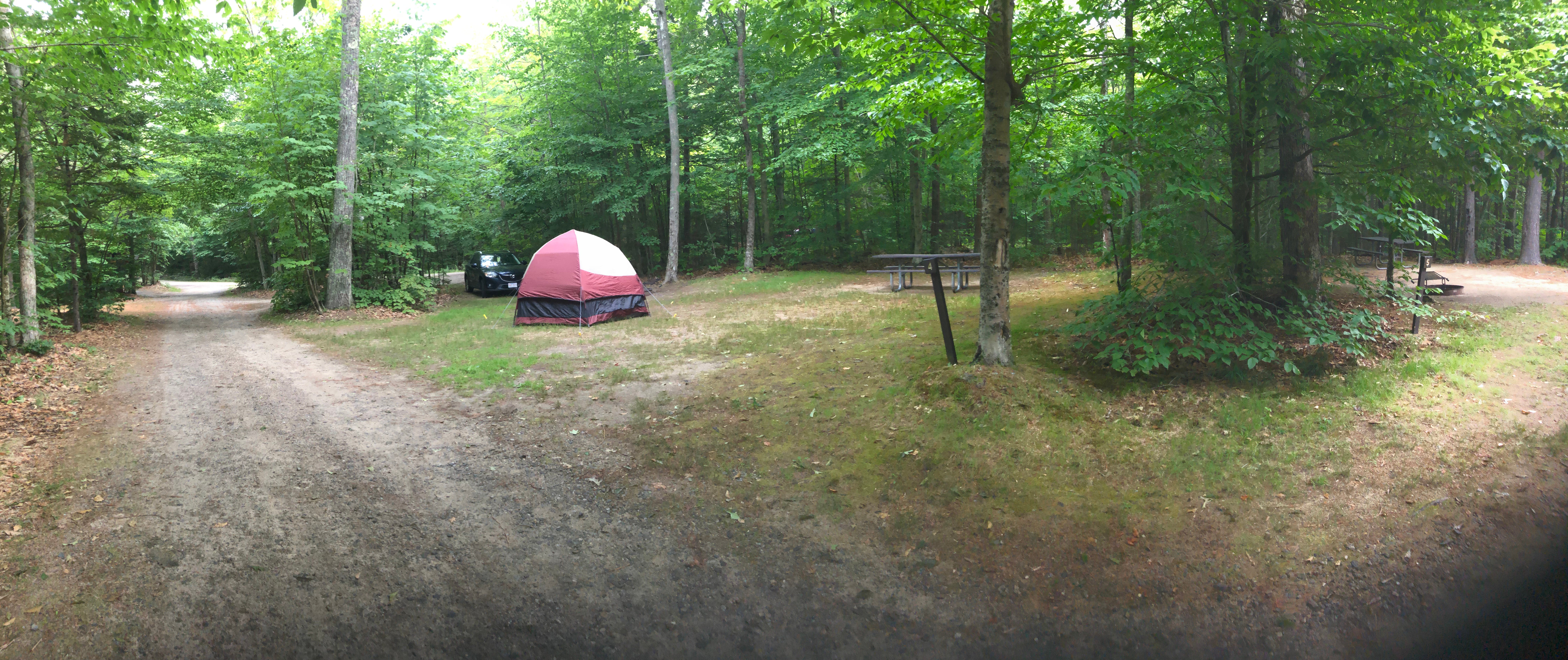 Camper submitted image from Pillsbury State Park Campground - 5