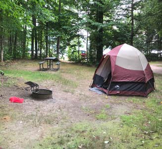 Camper-submitted photo from Pillsbury State Park Campground