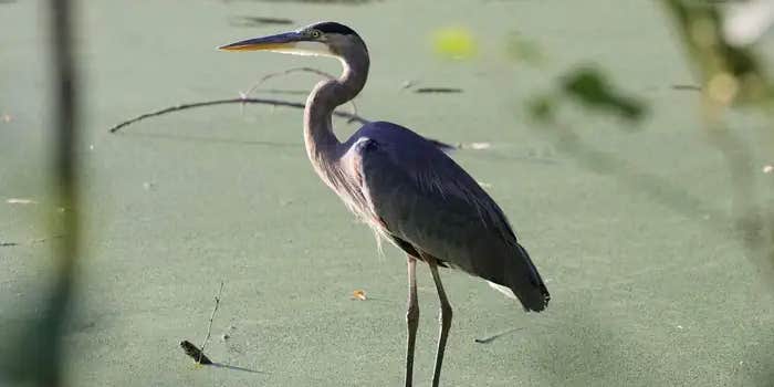 Camper submitted image from Blackhawk Park