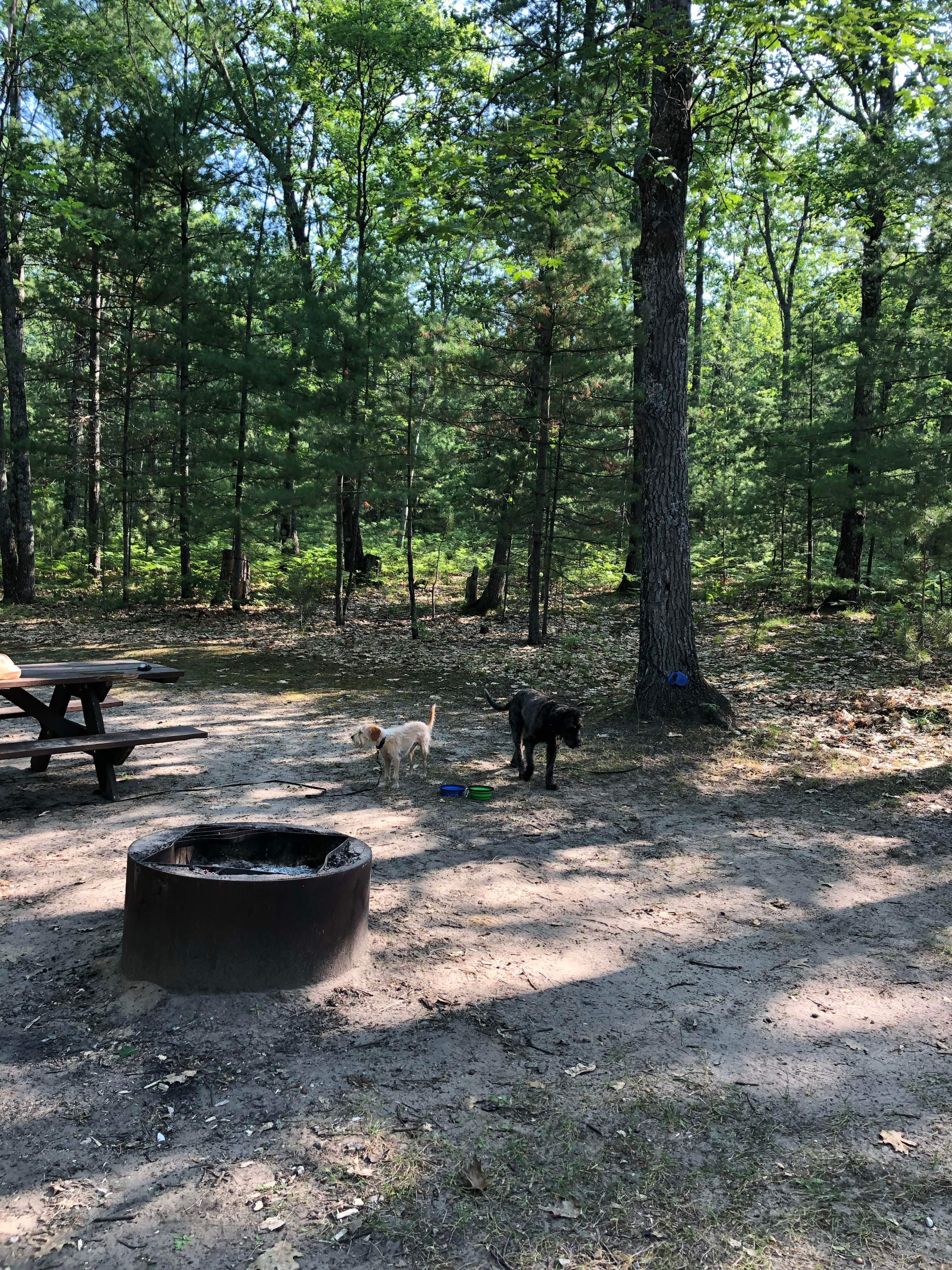Camper-submitted photo at Black Lake State Forest Upper ORV Campground near Afton, MI