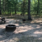 Review photo of Black Lake State Forest Upper ORV Campground by Kate K., August 3, 2019