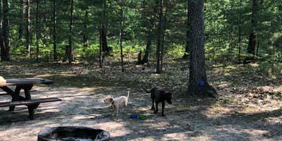 Camping