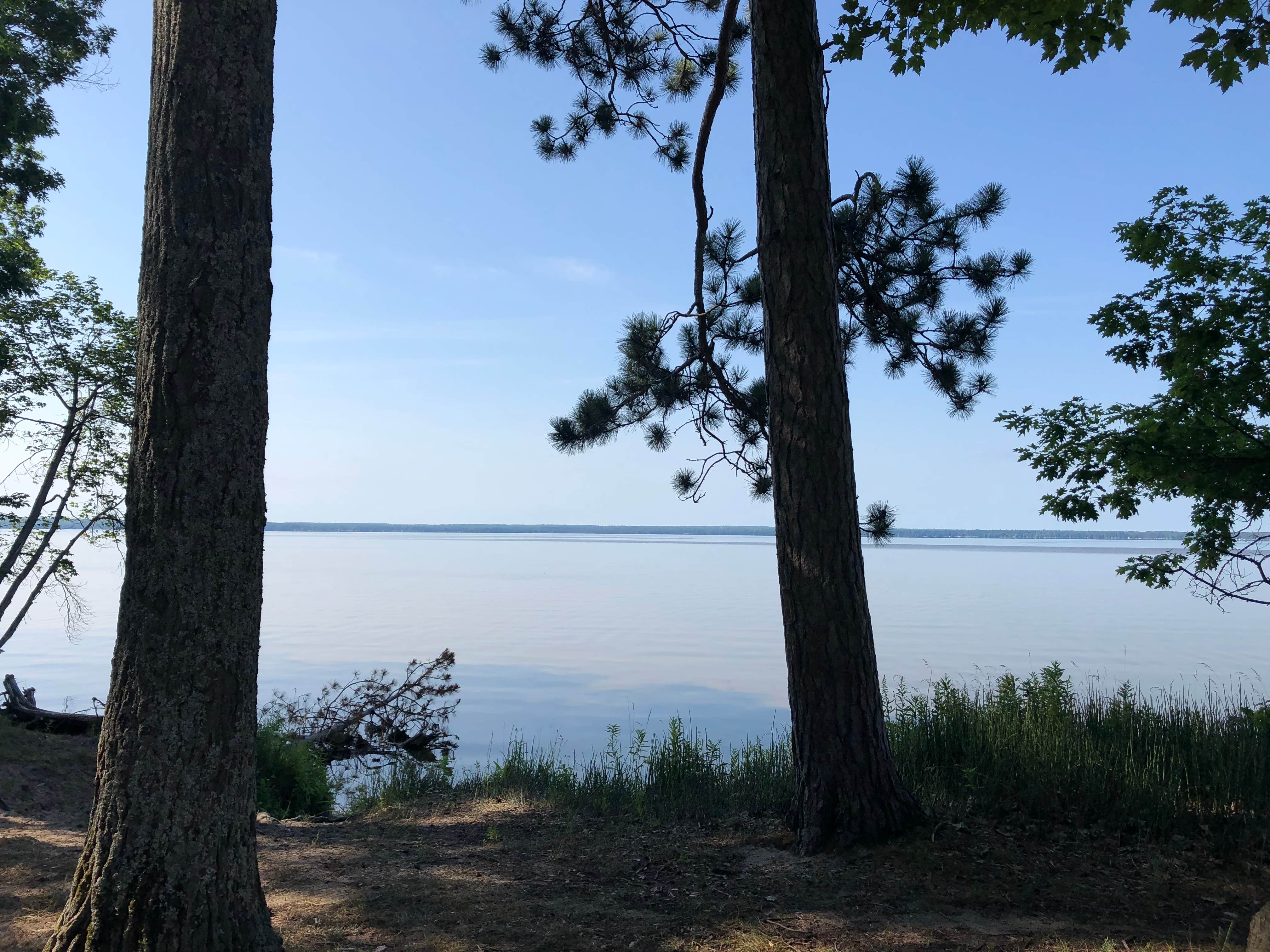 Camper-submitted photo at Black Lake State Forest Upper ORV Campground near Afton, MI