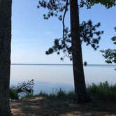 Review photo of Black Lake State Forest Upper ORV Campground by Kate K., August 3, 2019