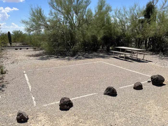 Camper submitted image from Twin Peaks Campground — Organ Pipe Cactus National Monument - 1