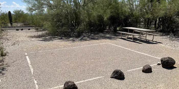 Camper submitted image from Twin Peaks Campground — Organ Pipe Cactus National Monument