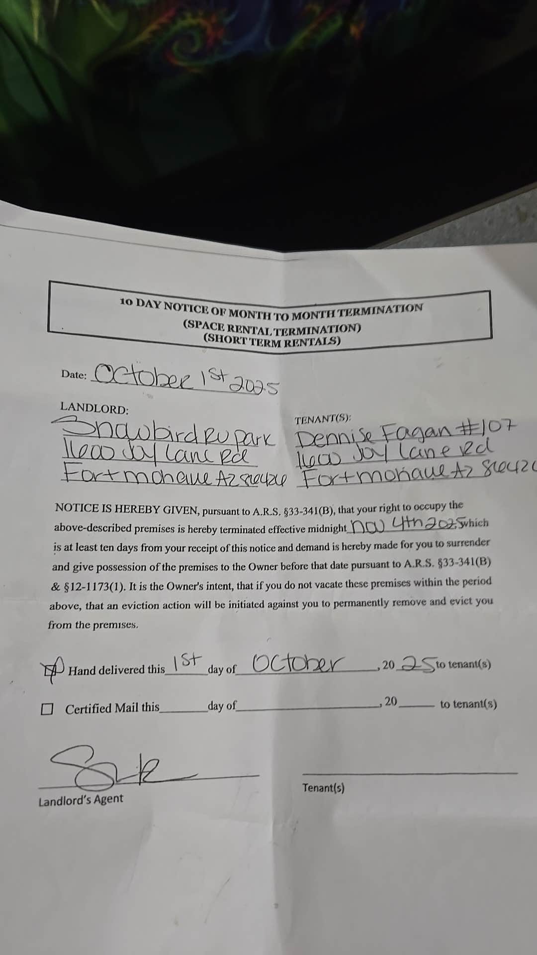 Camping near Needles KOA: Snowbird RV Resort, Mohave Valley, Arizona