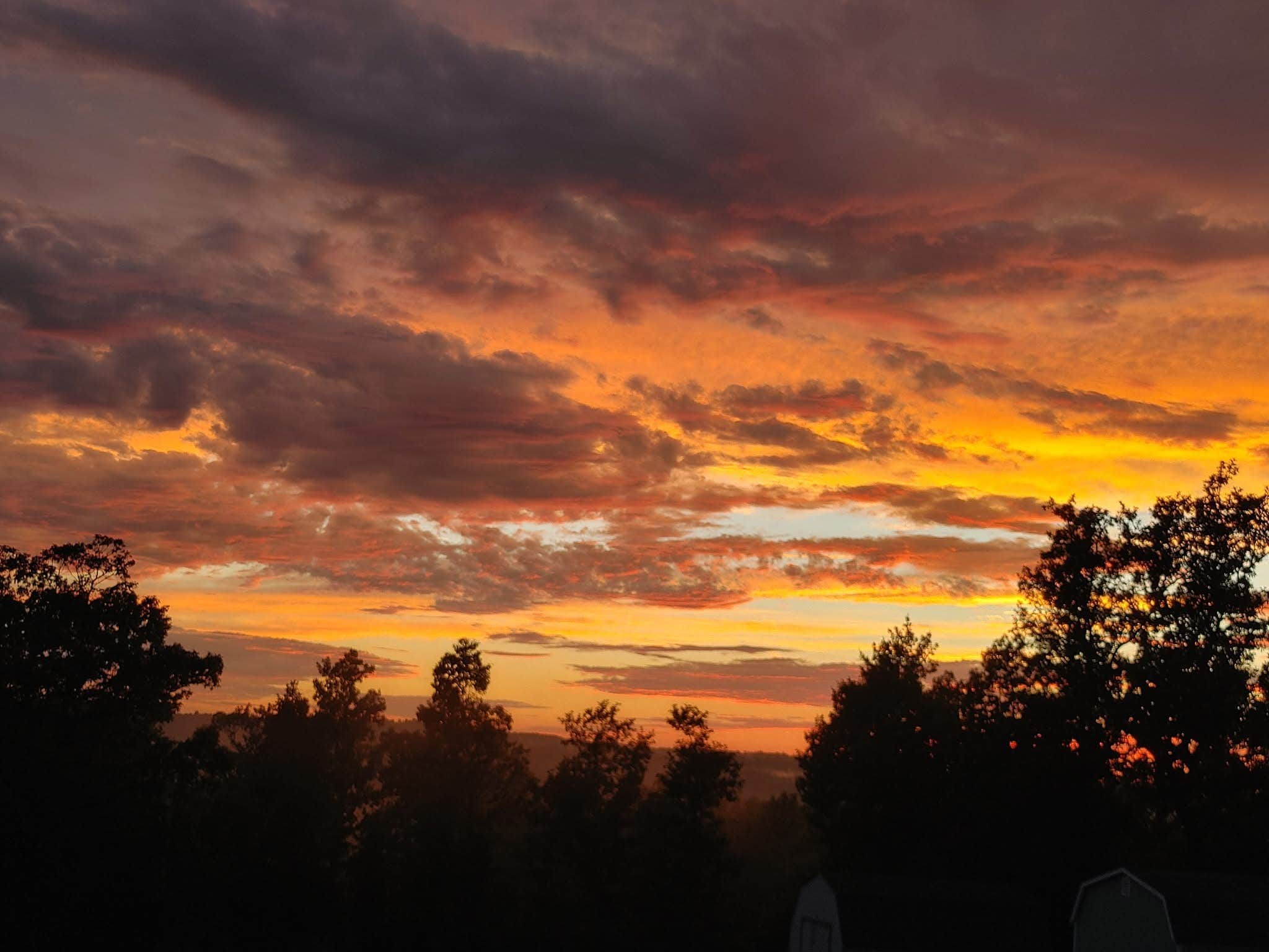 Camper-submitted photo at Gypsy Soul Villa and RV Park near Lakeview, AR