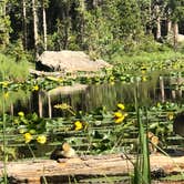 Review photo of Glacier Basin Campground — Rocky Mountain National Park by Deborah C., August 3, 2019