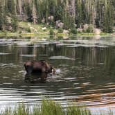 Review photo of Glacier Basin Campground — Rocky Mountain National Park by Deborah C., August 3, 2019