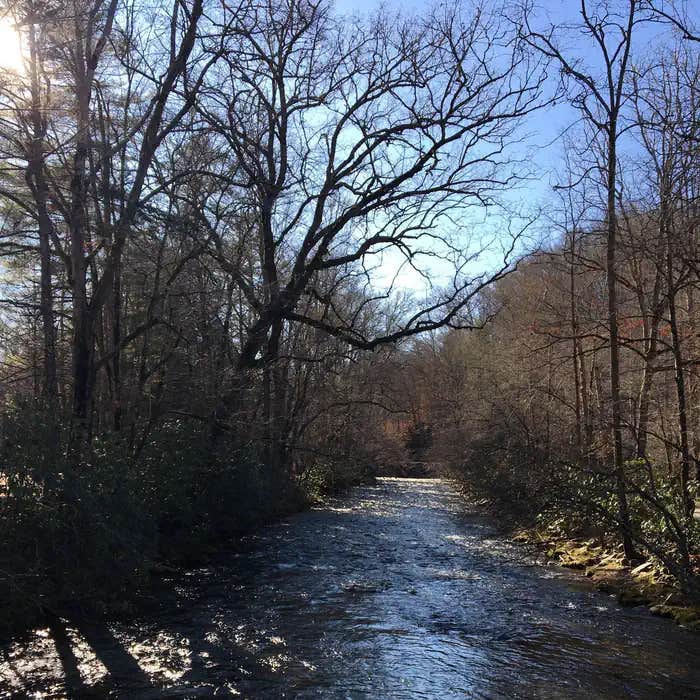 Deep Creek Campground — Great Smoky Mountains National Park