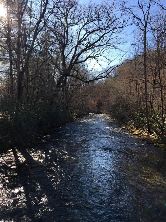 Camper submitted image from Deep Creek Campground — Great Smoky Mountains National Park - 1