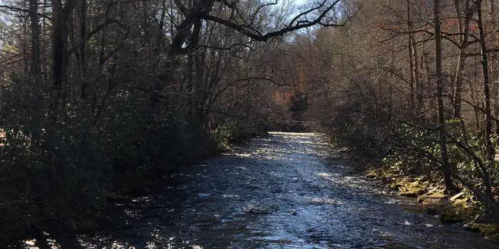 Camper submitted image from Deep Creek Group Campground — Great Smoky Mountains National Park