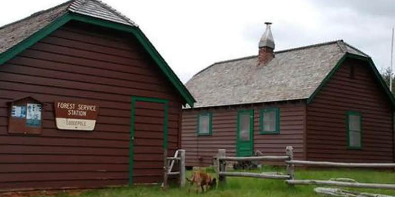 Camper submitted image from Lodgepole Guard Station