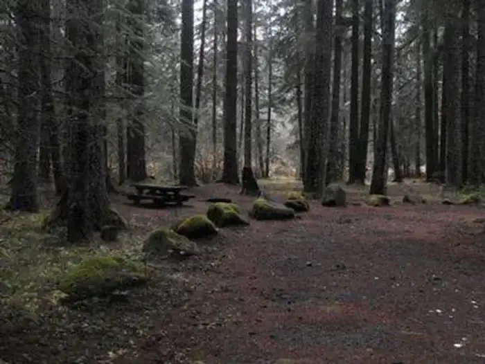 Camping near Indian Ridge Lookout: Frissell Crossing Campground, Mckenzie Bridge, Oregon